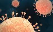 Jadi Momok Baru Dunia karena  Hantavirus Merebak, Pakar Unair Ingatkan Gejala dan Pola Penularan