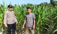 Dukung Ketahanan Pangan, Polsek Rumbai Barat Pekanbaru Monitoring Tanaman Jagung Pipil Petani
