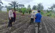 Polsek Kunto Darussalam Cek Perkembangan Jagung Pipil, Ajak Petani Dukung Swasembada Pangan Nasional