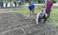 Cek Perkembangan Tanaman Jagung, Kanit Binmas Polsek Kunto Darussalam Dukung Program Swasembada Pangan