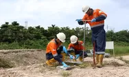 PHR Tancap Gas Bersihkan Lahan TTM di Blok Rokan, Sudah 20 Lokasi Dipulihkan
