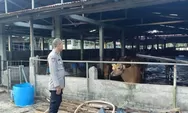 Dukung Ketahanan Pangan, Bhabinkamtibmas Polsek Rumbai Barat Sambangi Peternak Sapi