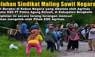 Aneh, Polres Bengkalis Tersangkakan Manager KSO Agrinas atas laporan Sindikat Ninja Sawit Negara