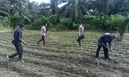 Polisi Cinta Petani Jadi Motor Ketahanan Pangan di Kunto Darussalam Rohul