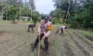 Polsek Kunto Darussalam Turun Kelapangan, Gencarkan Program Polisi Cinta Petani