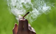Ternyata Ini Penyebabnya: Tak Hisap Ganja Tapi Terpapar dan Positif