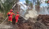 Lakukan Pemadaman Karhutla di Pasir Limau Kapas dan Kandis, Tim Manggala Agni Terkendala Cuaca Panas Ekstrem