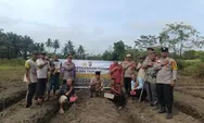 Polsek Tapung Tanam Jagung Pipil Bersama Lintas Sektor Dukung Ketahanan Pangan