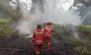 Ini Perkembangan Hasil Upaya Pemadaman Karhutla di Riau pada Hari ke-3