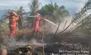 Tantangan Terberat Penanganan Karhutla di Riau Terdapat di Pelalawan