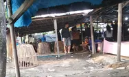 Praktik Judi Sabung Ayam di Pemalang Bebas Beroperasi