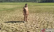 BMKG: Sebagian Sumatera Diprediksi Alami Puncak Kemarau Juli 