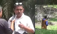 Disorot, Dugaan PTPN IV Kebun Gunung Monako Abaikan APD dan Seragam Dinas Pemanen Sawit