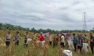 Polsek Batu Hampar Panen Raya Jagung Kuartal II 2026, Wujud Dukungan Polri terhadap Swasembada Pangan Nasional