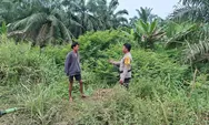 Antisipasi Karhutla, Polsek Batu Hampar Gencarkan Patroli dan Edukasi Maklumat Kapolda Riau