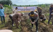 Polsek Tapung Kembali Lakukan Penanaman Jagung Pipil Bersama Kelompok Tani Indo Makmur Sejahtera