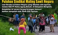 Sidang Praperadilan PN Bengkalis, Batalkan Status Tersangka Manajer KSO Agrinas Rasiman Manurung