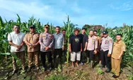 Kapolsek Tapung Bersama Perangkat Desa Sei Putih Laksanakan Pengecekan Tanaman Jagung Pipil