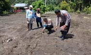 Dukung Ketahanan Pangan, Polsek Tapung Kembali Dampingi Kelompok Tani Tanam Jagung Pipil 