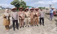 Dukung Ketahanan Pangan Nasional, Polsek Bukit Raya Panen Jagung Kuartal II 