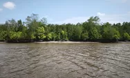 Kepala Desa Batang Sari Ajak Masyarakat dan Pemilik Kebun Sawit Jaga Ekosistem Mangrove serta Kamtibmas