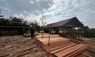 Bongkar Sawmill Ilegal di Kampar, Polda Riau Sita Ratusan Batang Kayu Hasil Illegal Logging