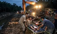 Diterkam Harimau Saat Hendak BAB, Suara Mesin dan Sorotan Lampu Berhasil Selamatkan Nyawa Harianto