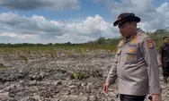 Kapolda Riau Cek Langsung Lokasi Perusakan Mangrove Seluas 118 Hektare di Rohil, 2 Pelaku Ditangkap