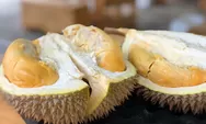Rahasia Tersembunyi Durian: Mengungkap 5 Efek Samping yang Jarang Diketahui