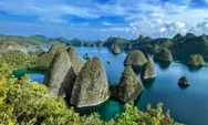 SAVE RAJA AMPAT: RAJA AMPAT KUATKAN POSISI SEBAGAI DESTINASI EKOWISATA KELAS DUNIA