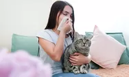 Tips Ampuh Mengatasi Alergi Kucing agar Tetap Bisa Bahagia Bersama Anabul