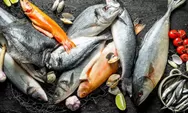 5 Rekomendasi Ikan Murah Meriah Kaya dengan Omega 3 untuk Meningkatkan Kecerdasan Otak Anak, Bukan Hanya Salmon dan Tuna!
