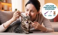 Jangan Panik Sal! Begini Cara Atasi Kucing Tersedak dengan Tepat, Pahami Penyebab dan Langkah-langkah Pencegahannya!