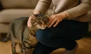 Kenapa Kucing Suka Menggosokkan Tubuh ke Kamu? Ini Alasannya yang Jarang Disadari
