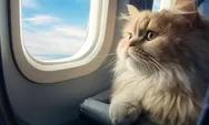 Mau Liburan Naik Pesawat Bareng Kucing? Ini Syarat Resmi dan Trik Aman Biar Anabul Nggak Stres di Udara!