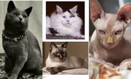 Begini Penampakan 7 Ras Kucing Sebelum Direkayasa Manusia, Beda Banget dari Sekarang