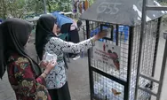 Hijau dari Lorong Patangpuluhan, Cara Unik Muhammadiyah Gerakkan Warga Menyelamatkan Bumi