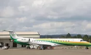 Viral “Bandara Ilegal” Morowali, Rupanya Ada Dua Bandara di Sana