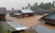 Walhi Ungkap 7 Perusahaan Pemicu Banjir Sumut, Kerusakan Batang Toru Lebih Parah dari Perkiraan Warga