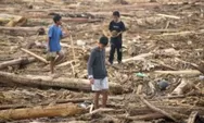 Banjir Bertubi di Sumatera, Pemerintah Wacanakan Balikkan Lahan Sawit ke Hutan, Realistis atau Janji Biasa?