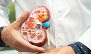 6 Ciri-Ciri Anda Mengidap Sakit Batu Ginjal dan 5 Ramuan Alami yang Efektif Membantu Penyembuhan