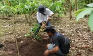Inovasi Pertanian di Bali: BRI Grow & Green Bantu Kelompok Tani Menjadi Mandiri di Lahan Kritis