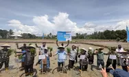 PT Vale dan Pemerintah Kolaka Luncurkan Demplot Padi Berkelanjutan untuk Perkuat Ketahanan Pangan Nasional