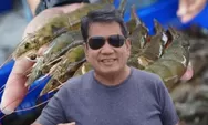 RI Berpeluang Jadi Produsen Udang Tangguh dan Disegani, Antara Lain Benahi Tiga Soal