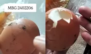 Soal Kasus Telur Rebus MBG yang Masih Berlumur Kotoran Ayam, Bupati Magetan Akui Terima Banyak Laporan
