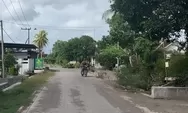 Jalan Petak 56 Mulus Berkat CSR PT Bumi Suksesindo, Warga Pesanggaran Banyuwangi Lebaran Kian Nyaman