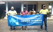 72 Hewan Kurban dari PT Bumi Suksesindo Disalurkan ke Masjid dan Musala di Pesanggaran Banyuwangi