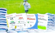 Cek Pupuk Subsidi 2026 Bisa Dilakukan Secara Online.Begini Caranya!