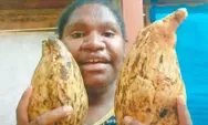 "Kami Tak Butuh Makan Gratis!": Paradoks Deforestasi Papua dan Kerinduan akan Pendidikan