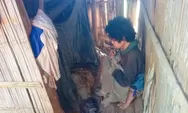 10 Tahun Lumpuh, Warga Elar Selatan Tinggal di Kandang Butuh Uluran Tangan